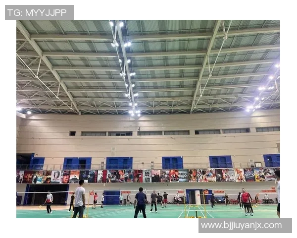 武汉羽毛球队反击之路：成败得失与未来展望