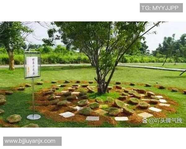 沈阳足球明星雕像事件引发的社会热议与文化反思探讨