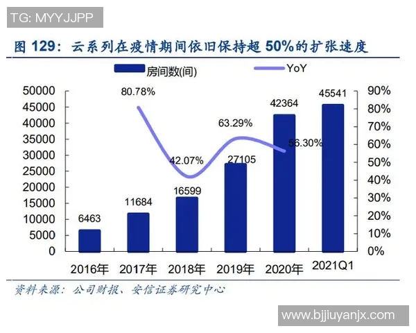 南京与深圳羽毛球队对决技术分析赛后复盘深度剖析