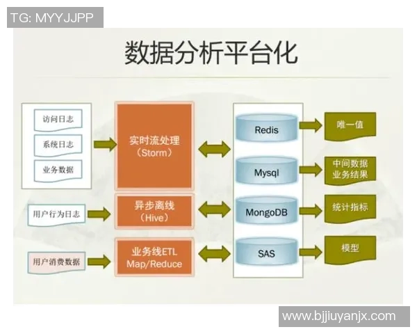 深入探讨杭州篮球队的技术表现与数据分析成果