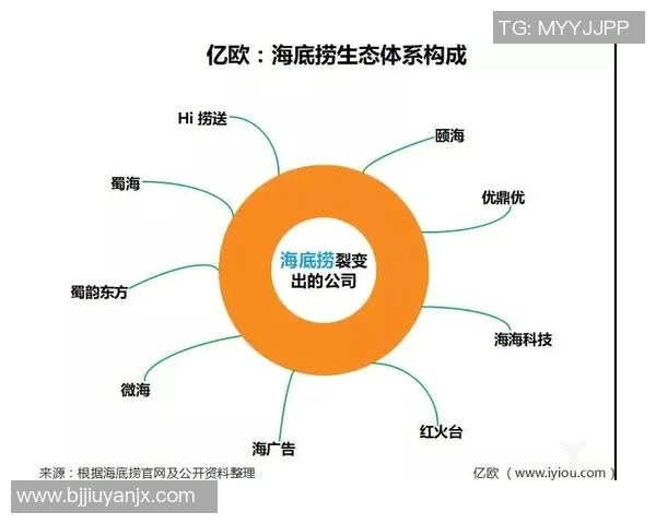 深圳排球队运营革新探索：从管理模式到市场推广的全方位变革之路