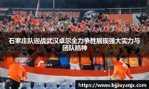 中欧体育官网