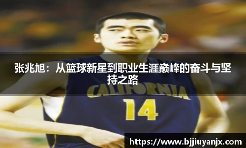 中欧体育网址